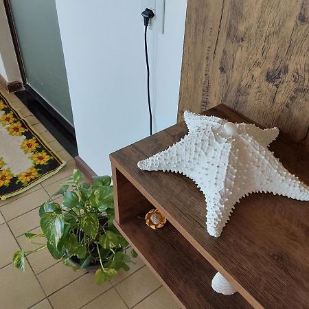 Apartamento Em Canasvieiras Perto Do Mar Florianopolis Exterior photo
